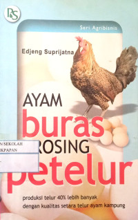 Image of Ayam Buras Krosing Petelur