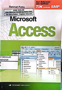 Image of Microsoft Access