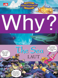 Image of Why ? The sea