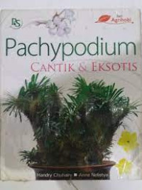 Image of Pachypodium Cantik & Eksotis